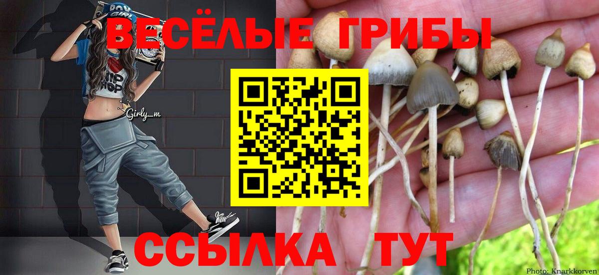 Псилоцибиновые грибы прущие грибы  Галлюциногенные грибы Psilocybe  Тула  Вход с VPN 