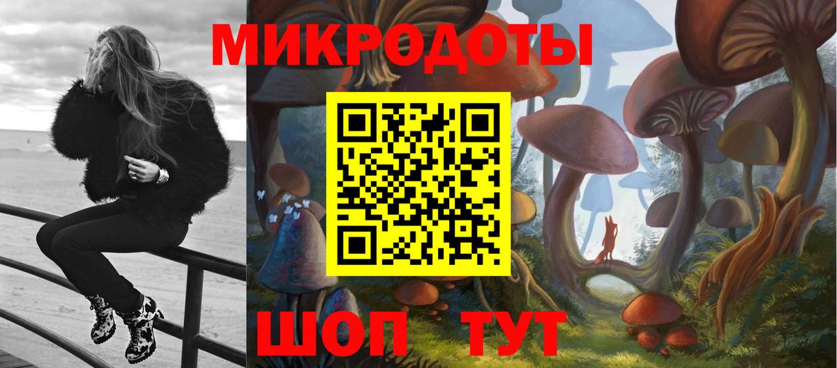 Галлюциногенные грибы Psilocybine cubensis Тула